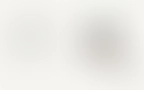 Terrace Header 02