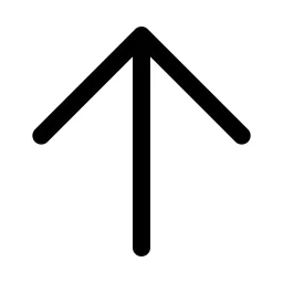 Arrow Up Icon