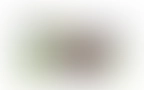 Video 03