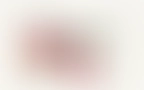 Sana Blog 02