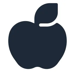 Apple 2 Solid Icon