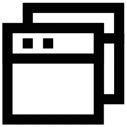Duplicate Website Icon