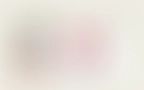 Sana Blog 03