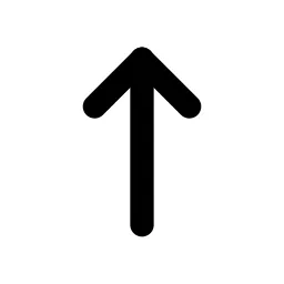 Arrow Narrow Up Line Icon