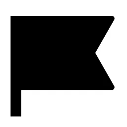 Flag 2 Fill Icon