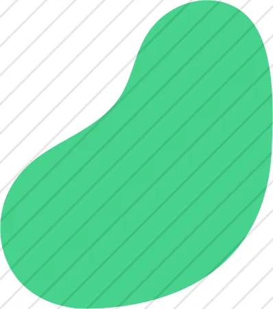 Shape 24