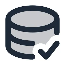 Data Check Duotone Icon