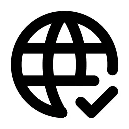World Check Line Icon