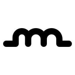 Circuit Inductor Line Icon