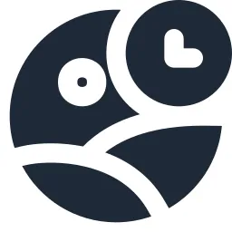 Image Circle Clock Solid Icon