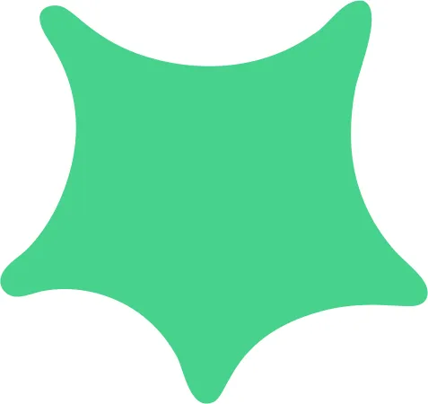 Shape 13