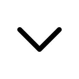 Nav Arrow Down Icon
