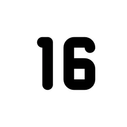 Number 16 Small Line Icon