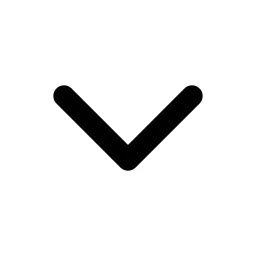 Chevron Down Line Icon