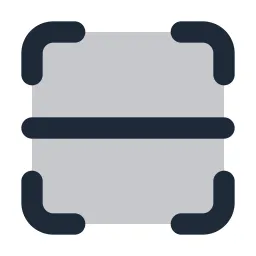 Scan Line Duotone Icon