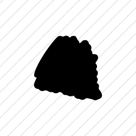 Shape 1