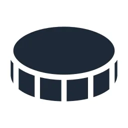 Coin 2 Solid Icon