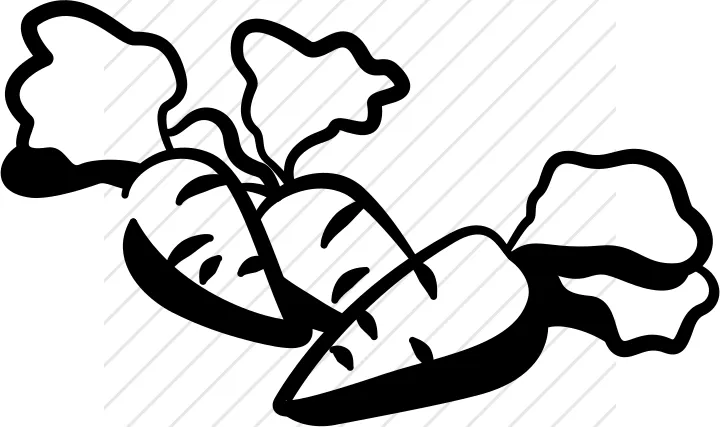 Carrot