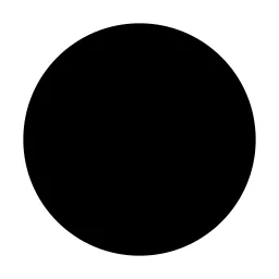 Circle Fill Icon