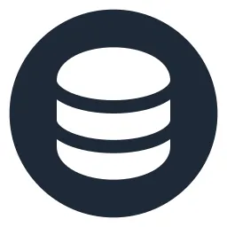 Data Circle Solid Icon