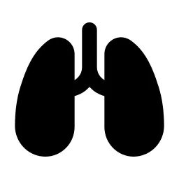 Lungs Icon