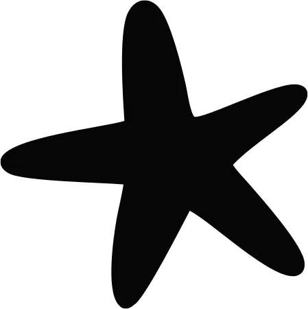 Shape 41