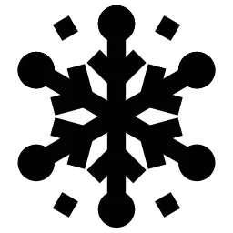Winter Snow Icon