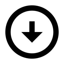 Arrow Down Circle Line Icon