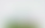 Cycle Header 03