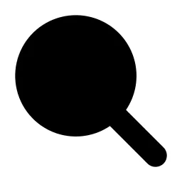 Zoom Icon
