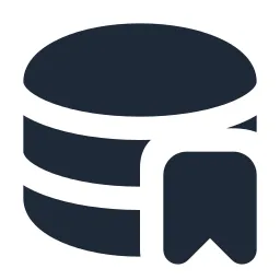 Data Bookmark Solid Icon