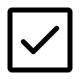 Check Square Icon
