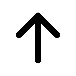 Arrow Up Line Icon