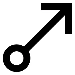 Circle Arrow Up Right Icon
