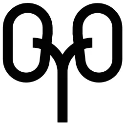Kidneys Icon