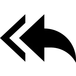 Reply All Fill Icon