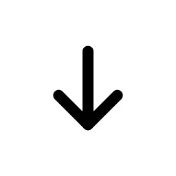 Arrow Down Duo Icon