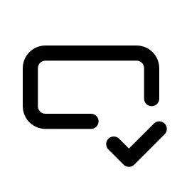 Input Check Line Icon