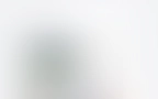 Haus Filter 02