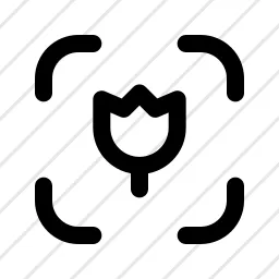 Focus Macro Icon