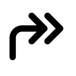 Corner Up Right Double Line Icon