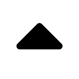 Caret Up Icon