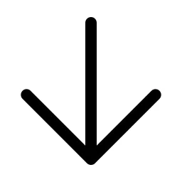 Arrow Down Icon