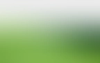 Bloomwell Footer 03