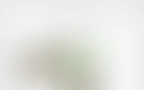 Bloomwell Blog 06