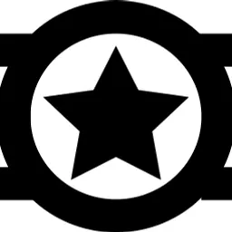Wings Badge Star Icon