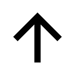 Arrow Up Line Icon
