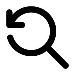 Zoom Reset Line Icon