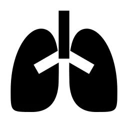 Lungs Fill Icon