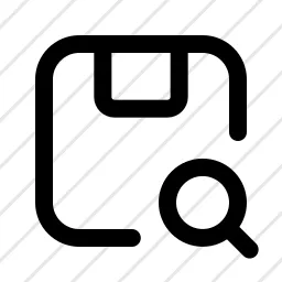 Package Search Delivery Icon